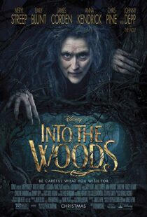 دانلود فیلم Into the Woods 20143675-1524668628