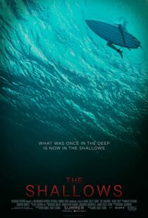 دانلود فیلم The Shallows 20166608-308268991