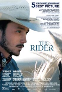 دانلود فیلم The Rider 20174944-397302617