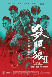 دانلود فیلم Kill Zone 2 20151845-1648773142