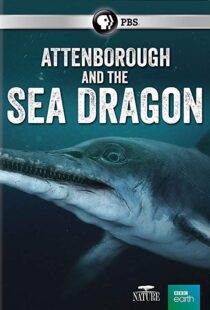دانلود مستند Attenborough and the Sea Dragon 20188753-564619051