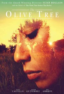 دانلود فیلم The Olive Tree 201615934-2021413573
