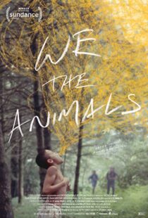 دانلود فیلم We the Animals 20184693-94637657