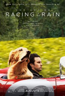 دانلود فیلم The Art of Racing in the Rain 201916633-966917459