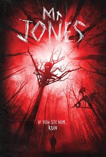 دانلود فیلم Mr. Jones 201337611-257484832