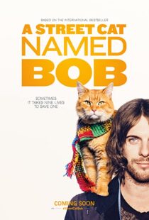 دانلود فیلم A Street Cat Named Bob 201641621-1602396729