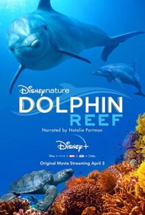 دانلود مستند Dolphin Reef 201838724-1701731819
