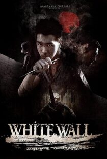 دانلود فیلم White Wall 201043853-1804061378