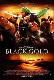 دانلود فیلم Day of the Falcon 201144386-1915884406