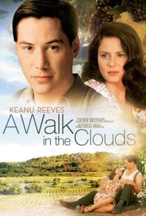 دانلود فیلم A Walk in the Clouds 199553815-122987744