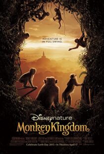 دانلود مستند Monkey Kingdom 201554583-1259165493
