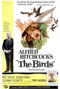 دانلود فیلم The Birds 196382372-2096183114