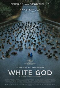 دانلود فیلم White God 201482109-151642110