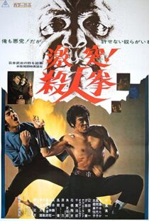دانلود فیلم The Street Fighter 197483791-849599514