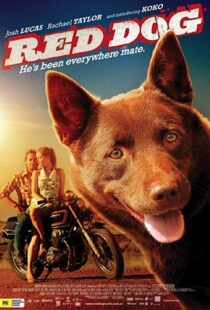 دانلود فیلم Red Dog 201187414-1856854495
