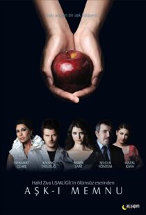 دانلود سریال Forbidden Love94309-768435334
