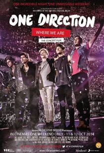 دانلود مستند One Direction: Where We Are – The Concert Film 2014100436-1485077378