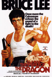 دانلود فیلم The Way of the Dragon 197297592-404586683