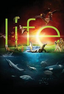 دانلود مستند Life96080-756529674