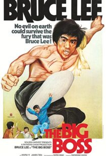 دانلود فیلم The Big Boss 197197560-861022405