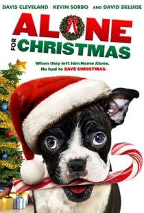 دانلود فیلم Alone for Christmas 2013107883-681702679