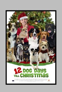 دانلود فیلم 12 Dog Days Till Christmas 2014100712-941305189