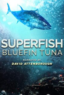 دانلود مستند Superfish Bluefin Tuna 2012101607-1455755774