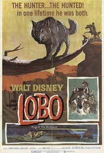 دانلود فیلم The Legend of Lobo 1962111441-319389199