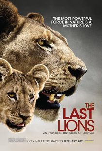 دانلود مستند The Last Lions 2011195626-1104705792