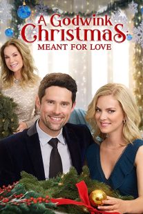 دانلود فیلم A Godwink Christmas: Meant for Love 201931842-365803001