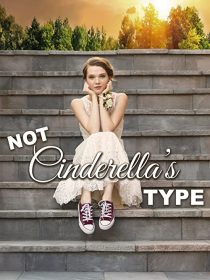 دانلود فیلم Not Cinderella’s Type 2018254350-1839176398