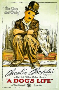 دانلود فیلم A Dog’s Life 1918270674-1073400831