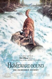 دانلود فیلم Homeward Bound: The Incredible Journey 1993371118-688959688