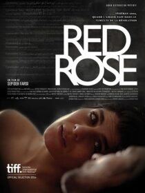 دانلود فیلم Red Rose 2014373098-457376470