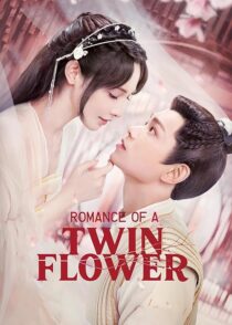 دانلود سریال Romance of a Twin Flower379211-1927672452