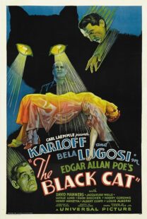 دانلود فیلم The Black Cat 1934378235-869918276