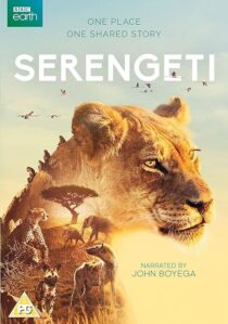 دانلود سریال Serengeti378761-826730582
