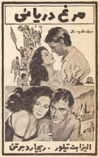 دانلود فیلم The Sandpiper 1965381611-1349652851