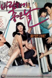 دانلود فیلم کره‌ای A Good Day to Have an Affair 2007384531-1826558251