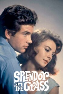 دانلود فیلم Splendor in the Grass 1961382554-159902514