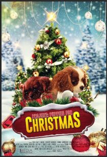 دانلود فیلم Project: Puppies for Christmas 2019390454-274768917