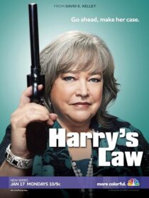 دانلود سریال Harry’s Law393952-804129036