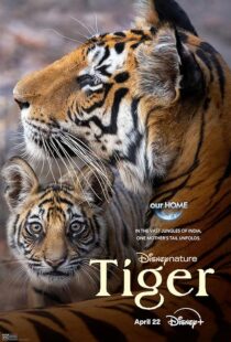 دانلود مستند Tiger 2024396409-1946153363