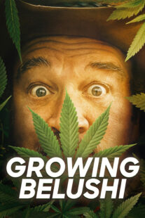 دانلود سریال Growing Belushi400424-1666014029