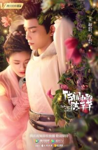 دانلود سریال The Romance of Tiger and Rose402001-1096998999