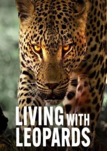 دانلود مستند Living with Leopards 2024400477-1503074506