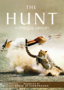 دانلود سریال The Hunt407007-1703678021