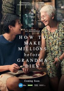 دانلود فیلم How to Make Millions Before Grandma Dies 2024409793-119641945