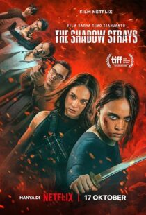دانلود فیلم The Shadow Strays 2024412265-1635542448