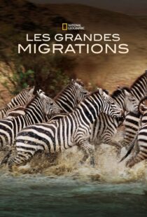 دانلود مستند Great Migrations417146-1426202597